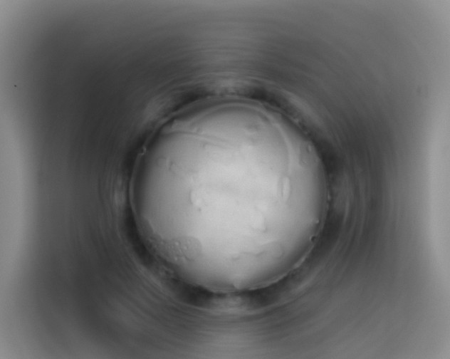 X0000114030695200910021439