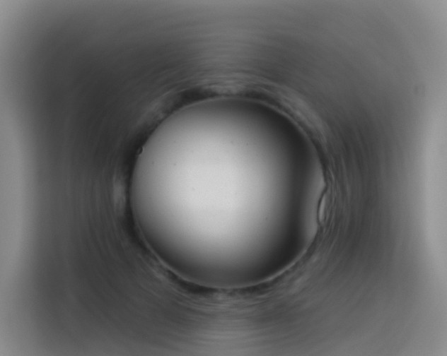 X0000114030697200910021439