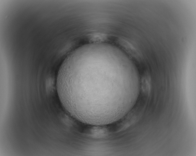 X0000114030714200910021438