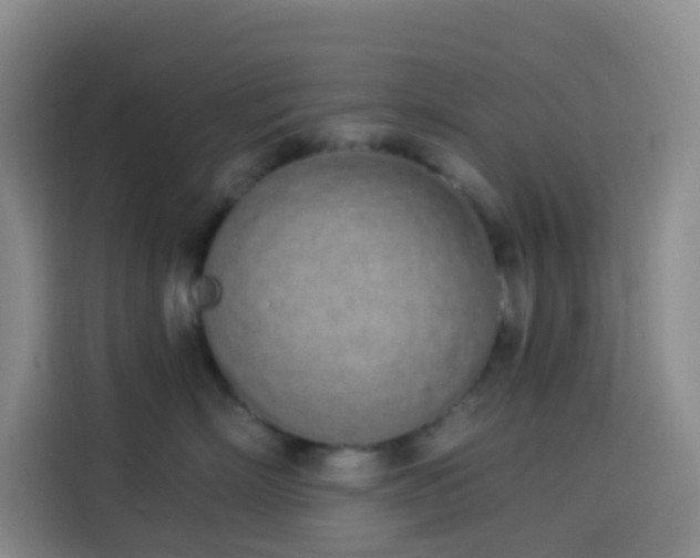 X0000114030718200910021438