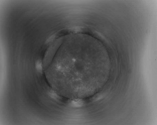 X0000114030720200910021438