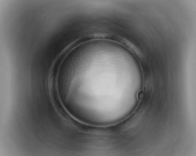 X0000114030722200910021438