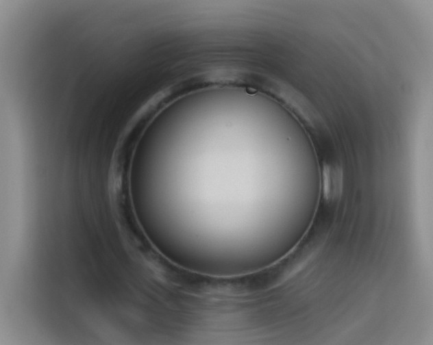 X0000114030723200910021438
