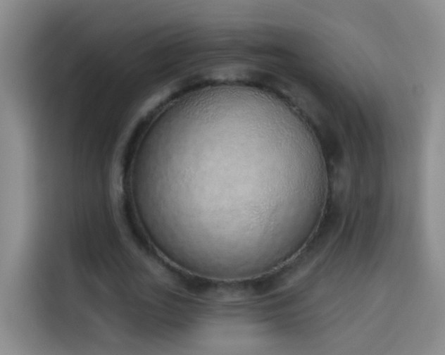 X0000114030727200910021438