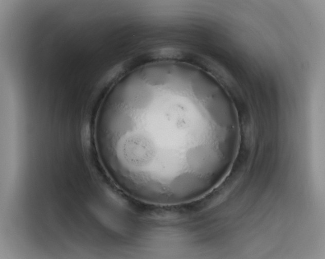 X0000114030729200910021438