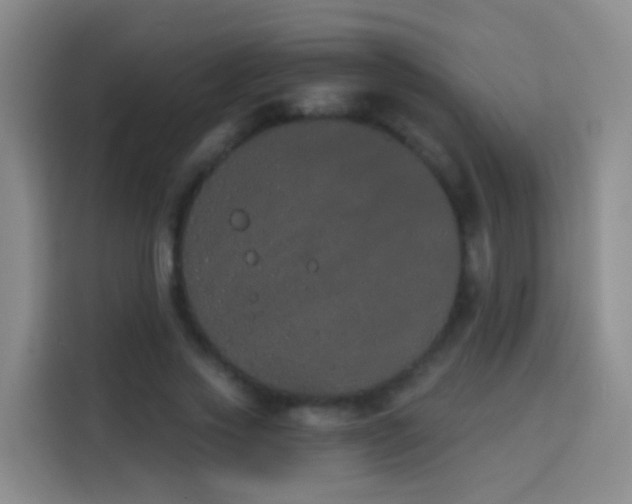X0000114030733200910021438