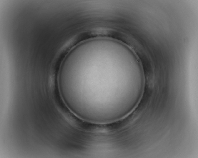 X0000114030735200910021438