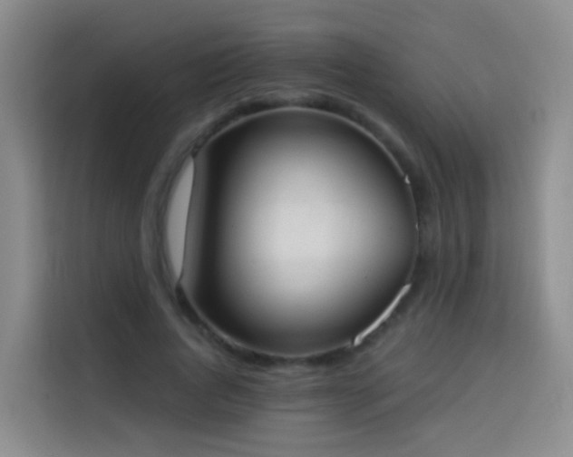 X0000114030736200910021438