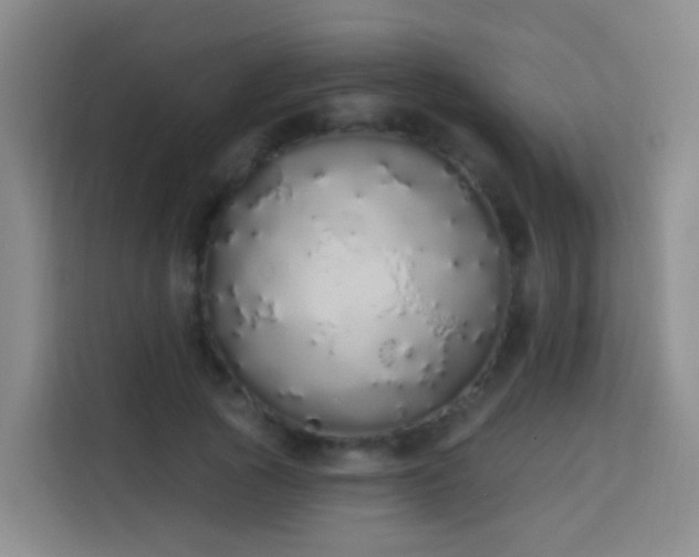 X0000114030737200910021438