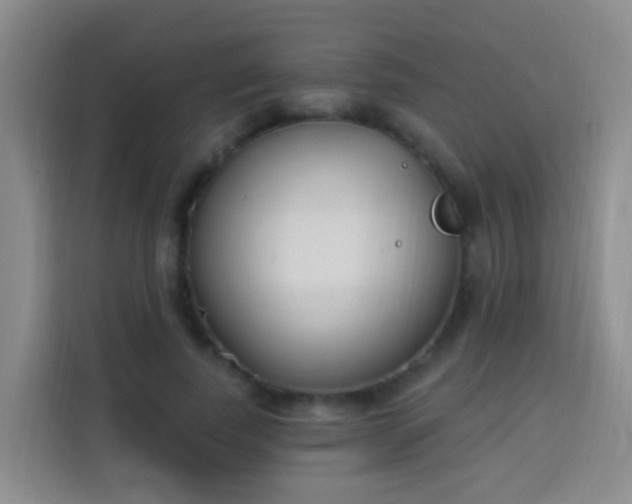 X0000114030739200910021438