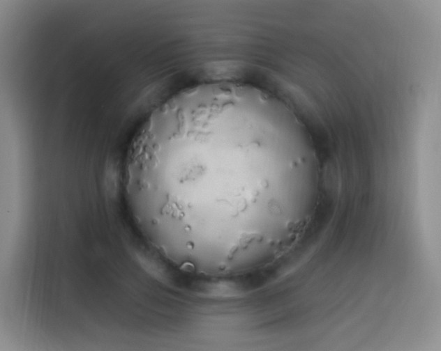 X0000114030741200910021438
