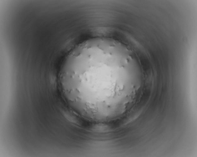 X0000114030749200910021438
