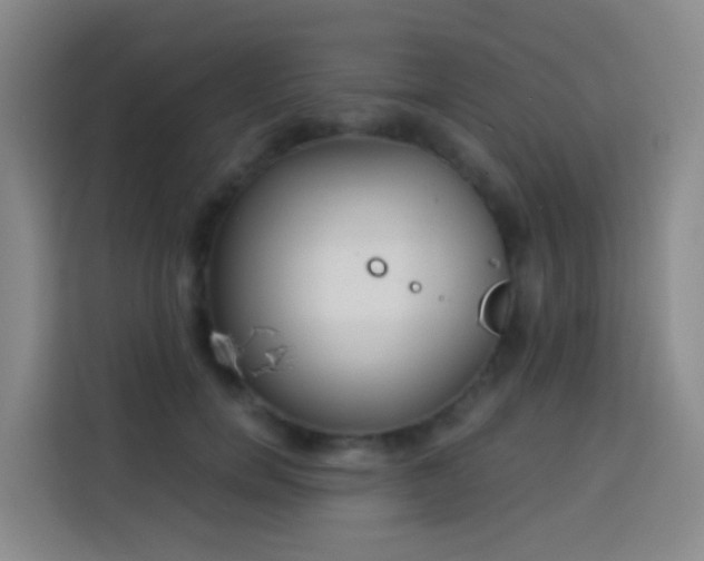 X0000114030750200910021438