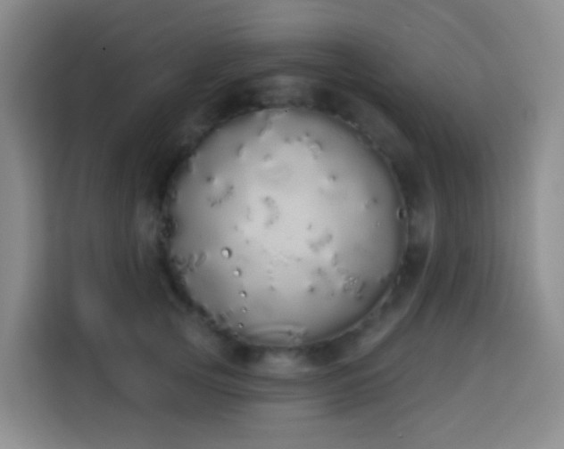 X0000114030753200910021438