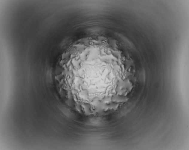 X0000114030757200910021438