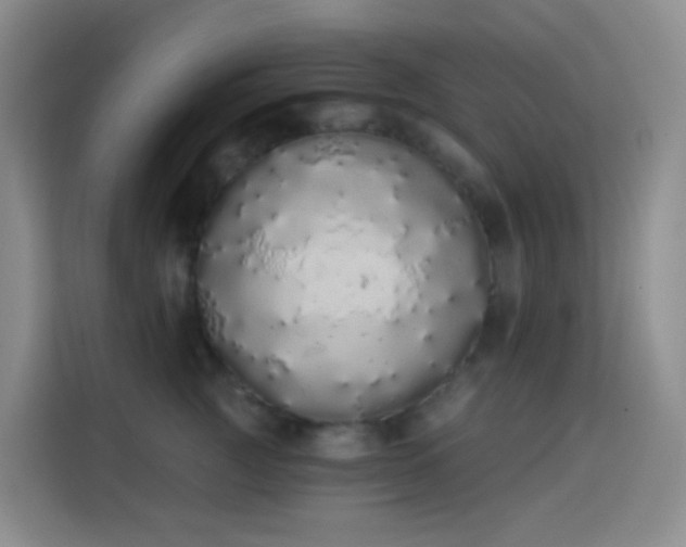 X0000114030761200910021438