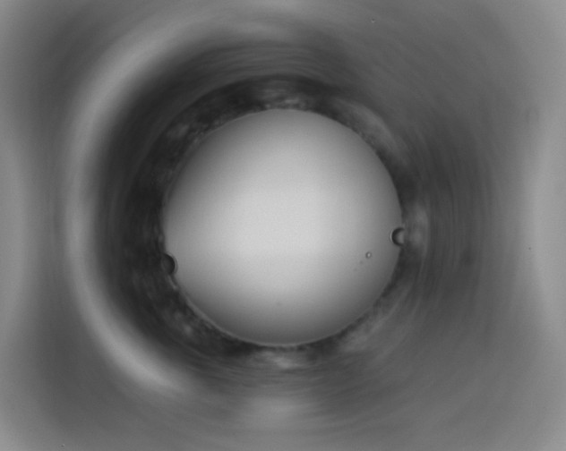 X0000114030763200910021438
