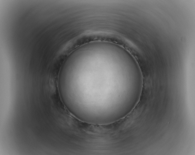 X0000114030774200910021438