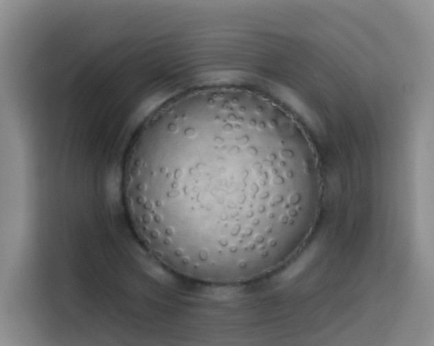 X0000114030778200910021438