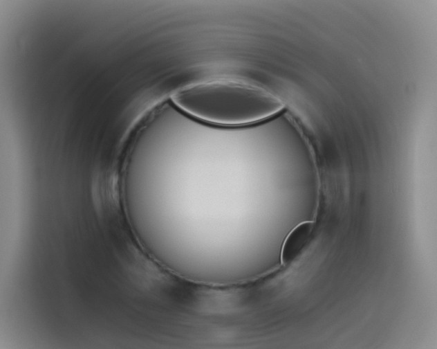 X0000114030781200910021438