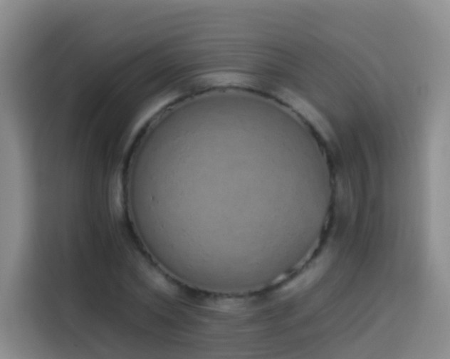 X0000114030782200910021438