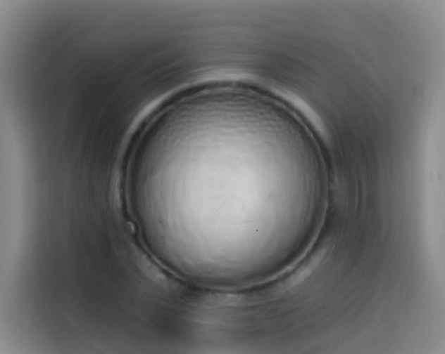 X0000114030783200910021437
