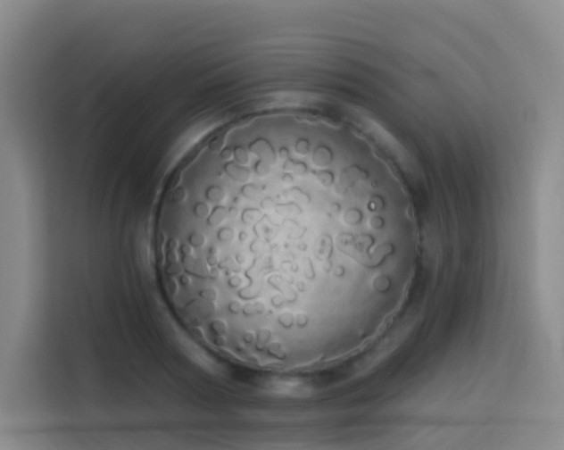 X0000114030794200910021437