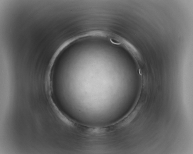 X0000114030808200910021437