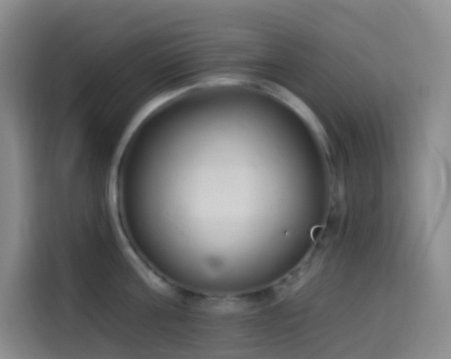X0000114030811200910021437