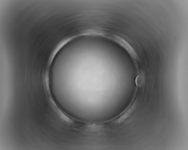 X0000114030812200910021437