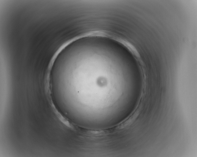 X0000114030816200910021437