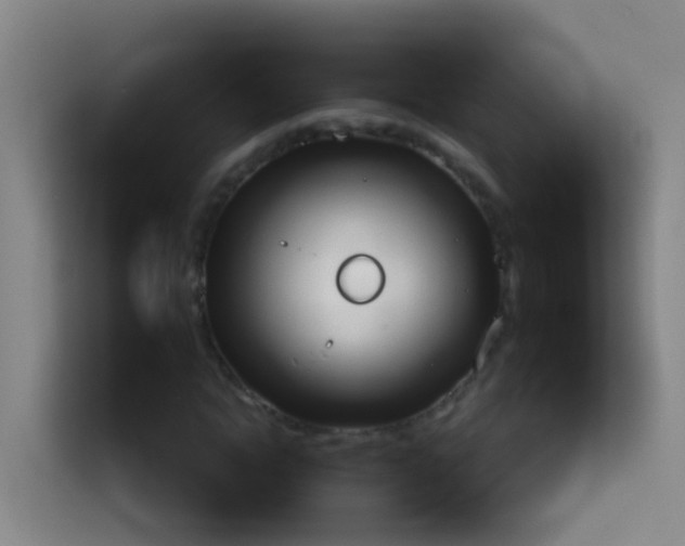 X0000114030822200910021437