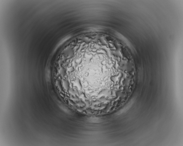 X0000114030827200910021437