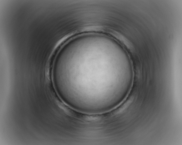 X0000114030830200910021437