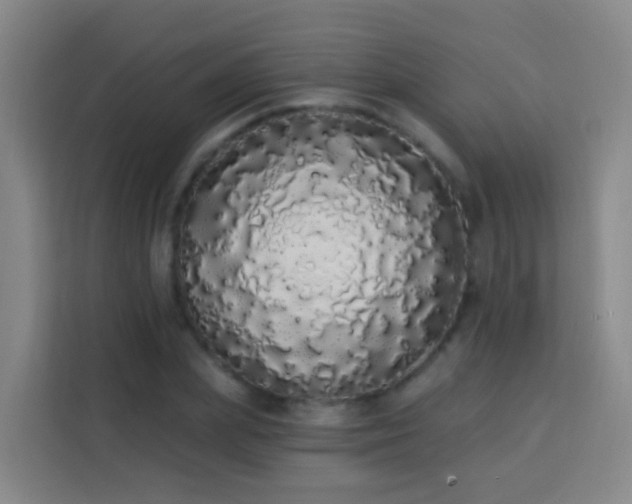 X0000114030831200910021437