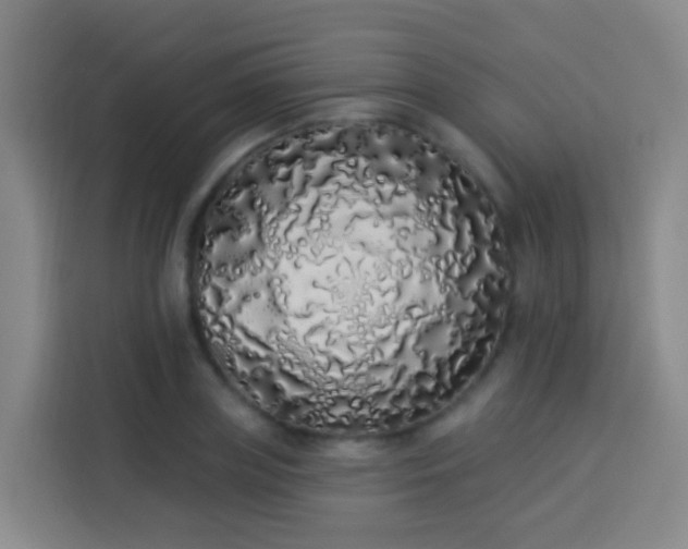 X0000114030835200910021437