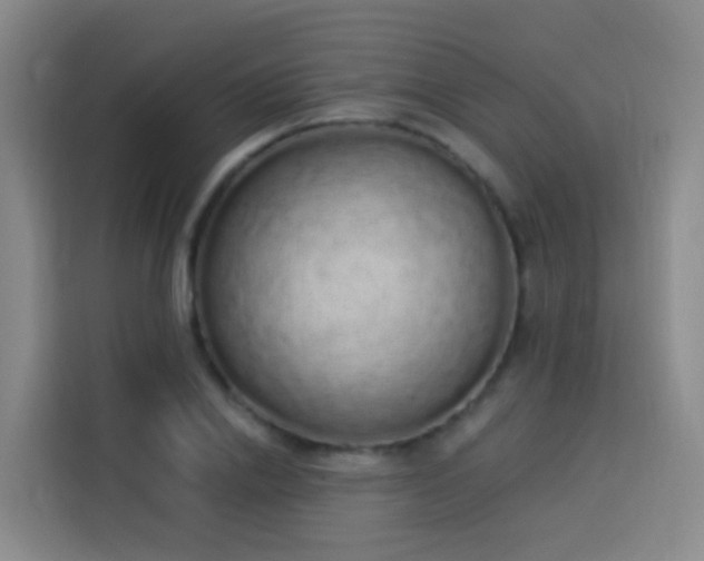 X0000114030838200910021437