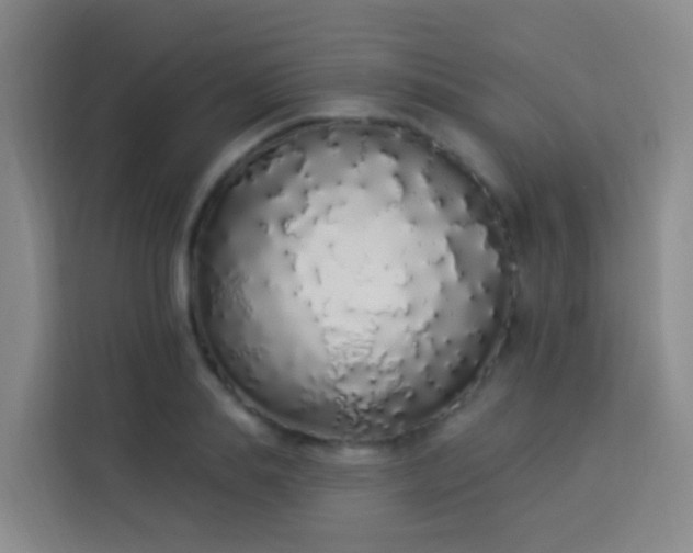 X0000114030839200910021437