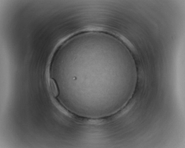 X0000114030840200910021437