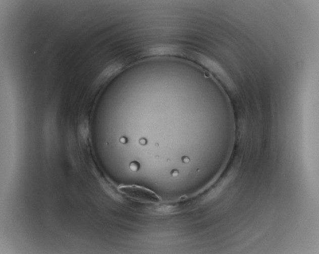 X0000114030841200910021437