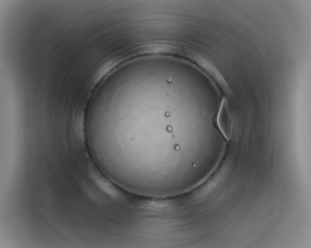 X0000114030842200910021437