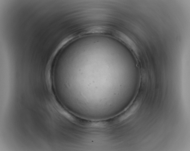 X0000114030843200910021437