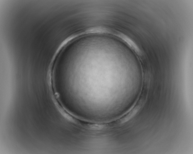 X0000114030854200910021437