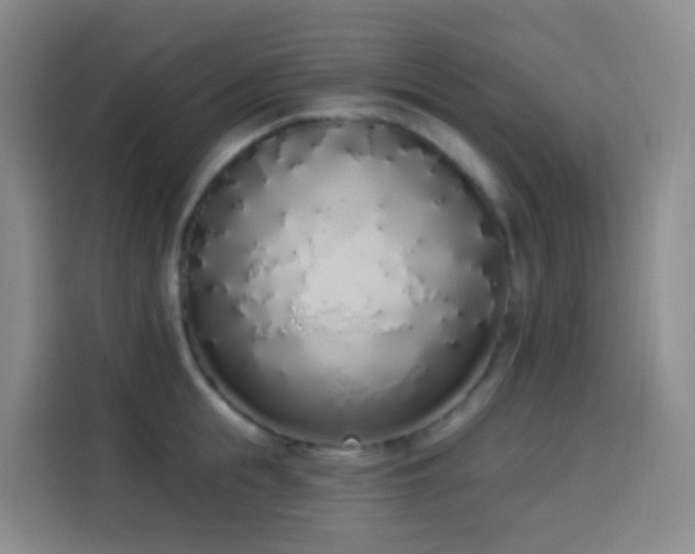 X0000114030855200910021437