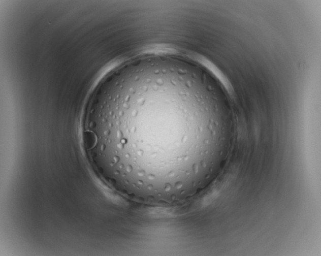 X0000114030861200910021437