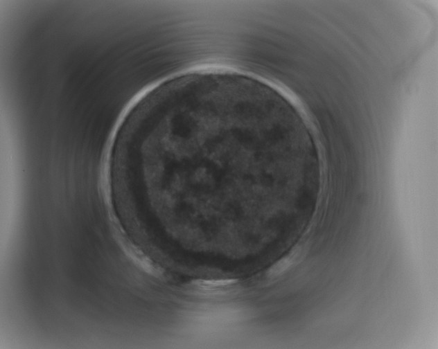 X0000114030864200910021437