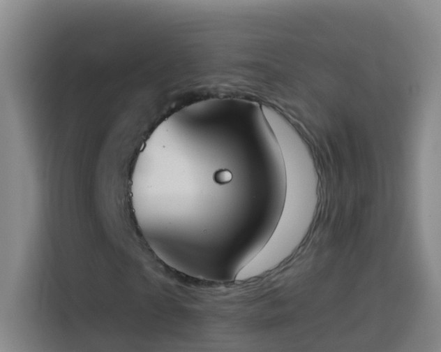 X0000114030865200910021436