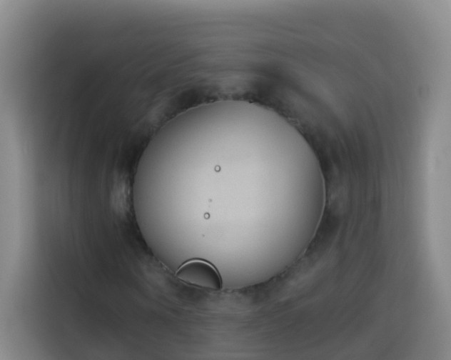 X0000114030866200910021436