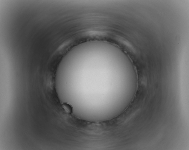 X0000114030869200910021436