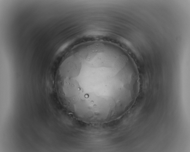 X0000114030871200910021436